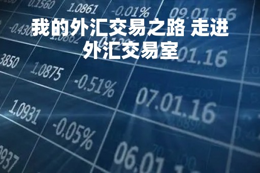 我的外汇交易之路 走进外汇交易室