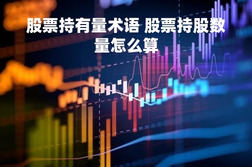 股票持有量术语 股票持股数量怎么算