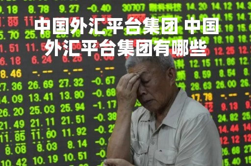 中国外汇平台集团 中国外汇平台集团有哪些