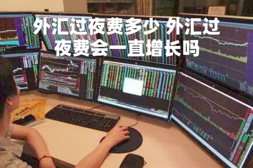 外汇过夜费多少 外汇过夜费会一直增长吗