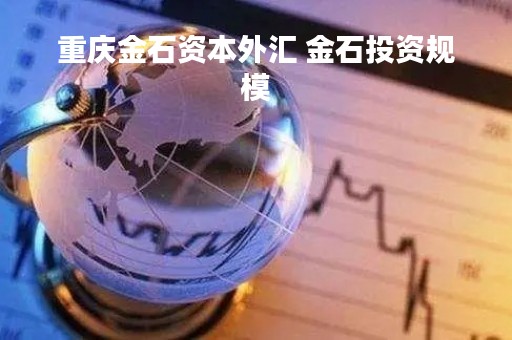 重庆金石资本外汇 金石投资规模