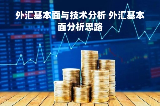 外汇基本面与技术分析 外汇基本面分析思路