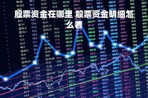 股票资金在哪里 股票资金明细怎么看 股票资金在哪里 股票资金明细怎么看