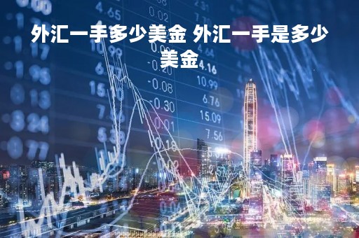 外汇一手多少美金 外汇一手是多少美金