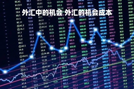 外汇中的机会 外汇的机会成本