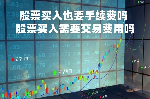 股票买入也要手续费吗 股票买入需要交易费用吗