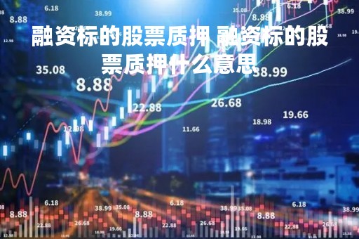 融资标的股票质押 融资标的股票质押什么意思