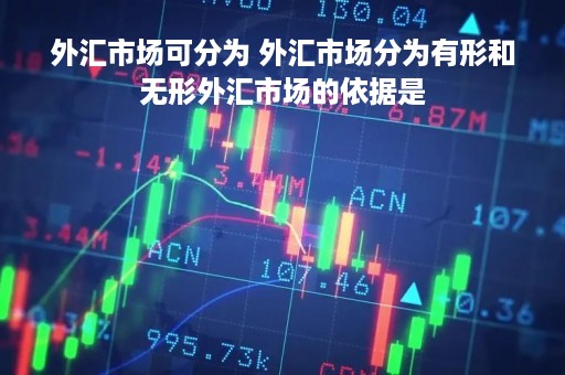 外汇市场可分为 外汇市场分为有形和无形外汇市场的依据是