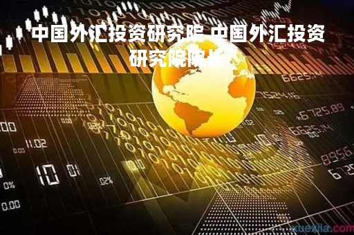 中国外汇投资研究院 中国外汇投资研究院院长