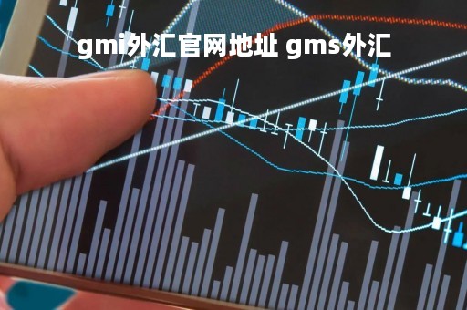 gmi外汇官网地址 gms外汇