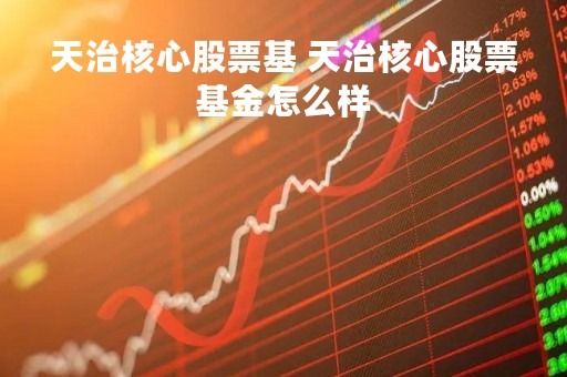 天治核心股票基 天治核心股票基金怎么样