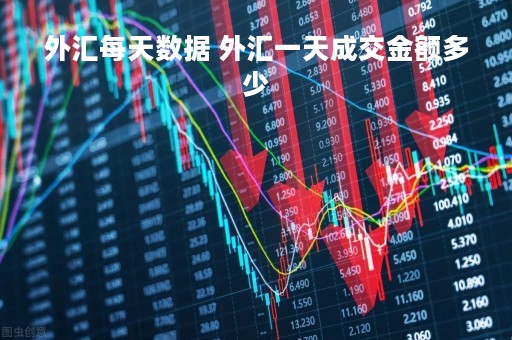 外汇每天数据 外汇一天成交金额多少