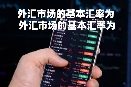 外汇市场的基本汇率为 外汇市场的基本汇率为多少美元