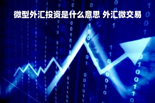 微型外汇投资是什么意思 外汇微交易