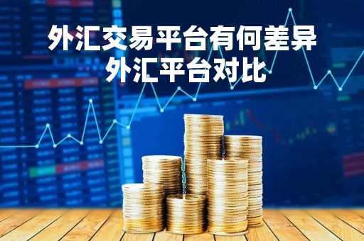 外汇交易平台有何差异 外汇平台对比
