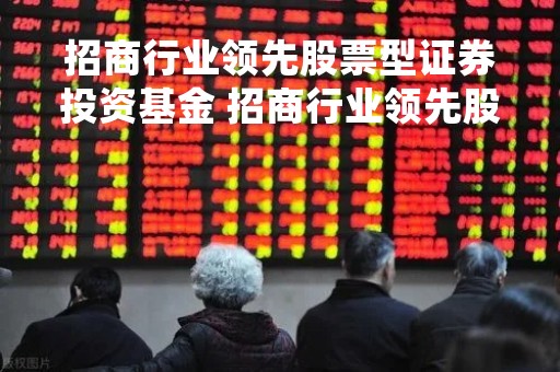 招商行业领先股票型证券投资基金 招商行业领先股票型证券投资基金有哪些 招商行业领先股票型证券投资基金 招商行业领先股票型证券投资基金有哪些
