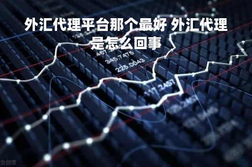 外汇代理平台那个最好 外汇代理是怎么回事