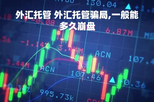 外汇托管 外汇托管骗局,一般能多久崩盘