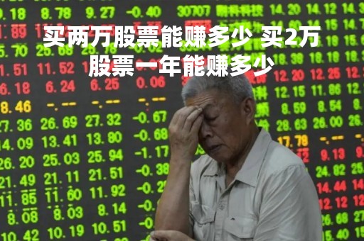 买两万股票能赚多少 买2万股票一年能赚多少
