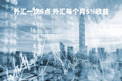 外汇一次5点 外汇每个月5%收益