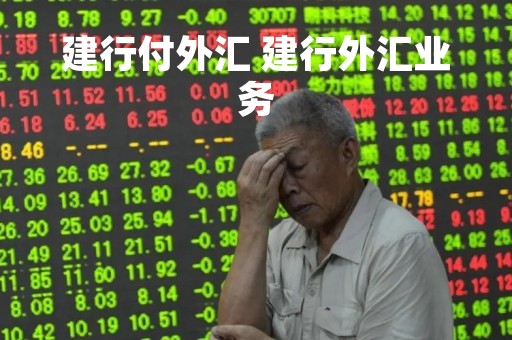 建行付外汇 建行外汇业务