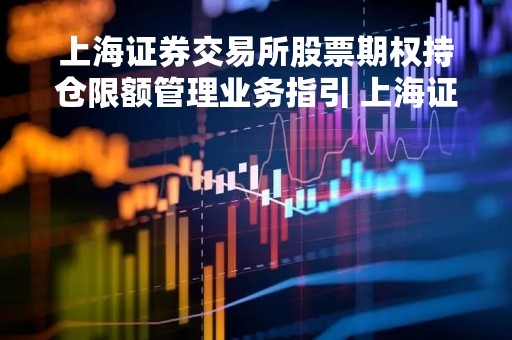 上海证券交易所股票期权持仓限额管理业务指引 上海证券交易所个股期权的类型