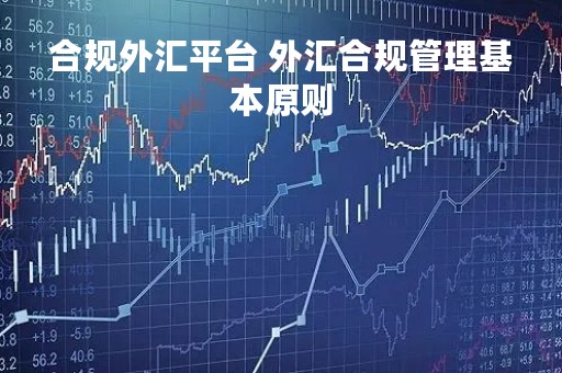 合规外汇平台 外汇合规管理基本原则 合规外汇平台 外汇合规管理基本原则