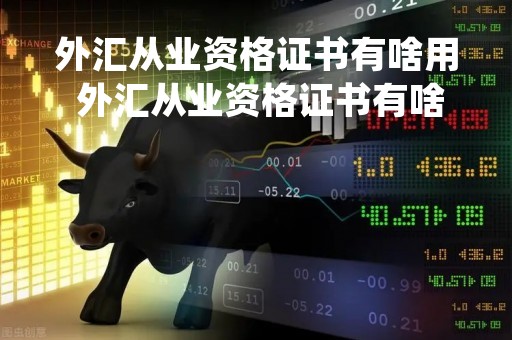 外汇从业资格证书有啥用 外汇从业资格证书有啥用处