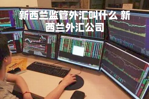 新西兰监管外汇叫什么 新西兰外汇公司