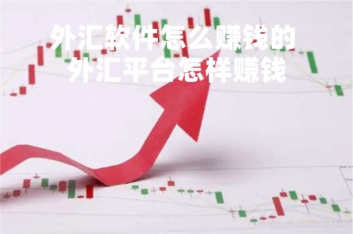 外汇软件怎么赚钱的 外汇平台怎样赚钱