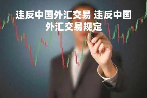 违反中国外汇交易 违反中国外汇交易规定