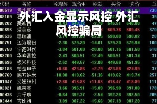 外汇入金显示风控 外汇风控骗局