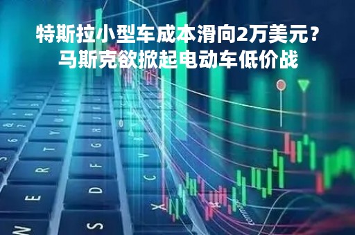 特斯拉小型车成本滑向2万美元？马斯克欲掀起电动车低价战