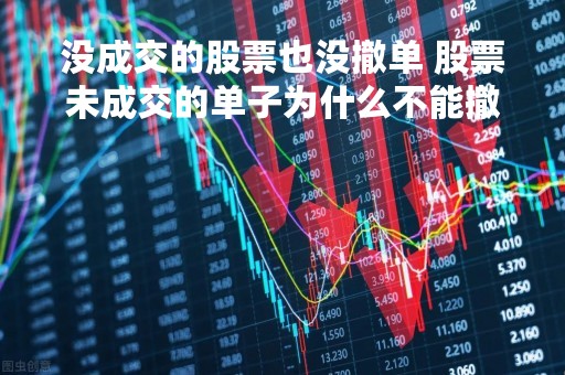 没成交的股票也没撤单 股票未成交的单子为什么不能撤单 没成交的股票也没撤单 股票未成交的单子为什么不能撤单