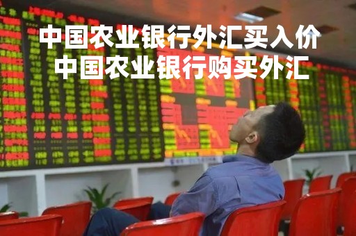 中国农业银行外汇买入价 中国农业银行购买外汇