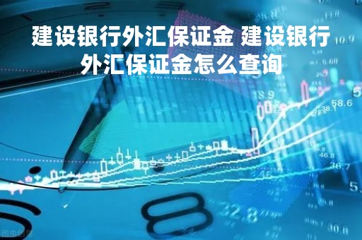 建设银行外汇保证金 建设银行外汇保证金怎么查询