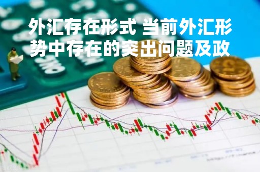 外汇存在形式 当前外汇形势中存在的突出问题及政策建议