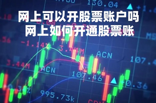 网上可以开股票账户吗 网上如何开通股票账户