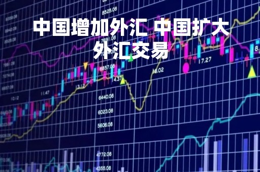 中国增加外汇 中国扩大外汇交易