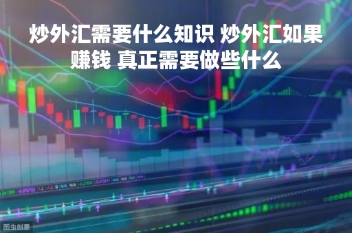炒外汇需要什么知识 炒外汇如果赚钱 真正需要做些什么