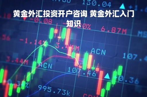黄金外汇投资开户咨询 黄金外汇入门知识
