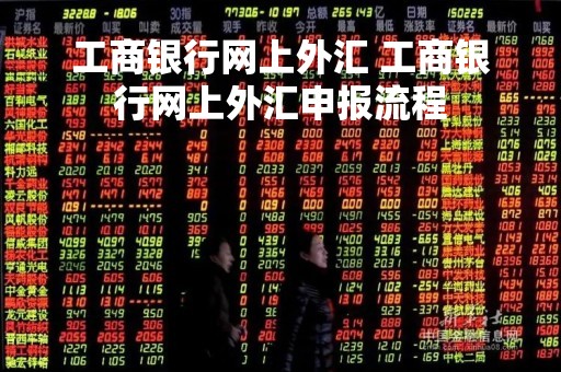 工商银行网上外汇 工商银行网上外汇申报流程