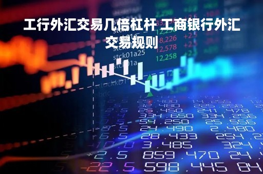 工行外汇交易几倍杠杆 工商银行外汇交易规则