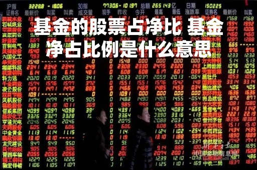 基金的股票占净比 基金净占比例是什么意思 基金的股票占净比 基金净占比例是什么意思