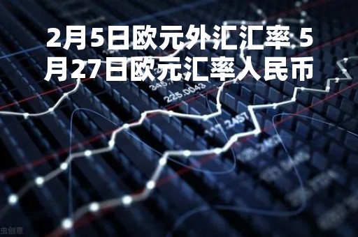 2月5日欧元外汇汇率 5月27日欧元汇率人民币