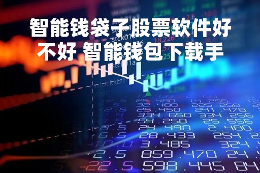 智能钱袋子股票软件好不好 智能钱包下载手机版