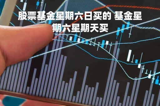 股票基金星期六日买的 基金星期六星期天买