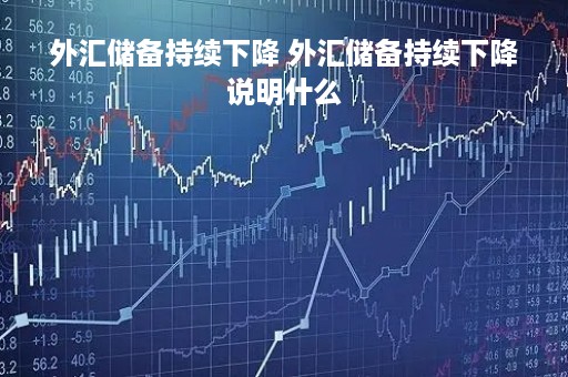外汇储备持续下降 外汇储备持续下降说明什么