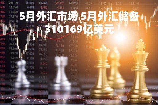5月外汇市场 5月外汇储备310169亿美元