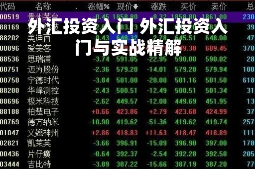 外汇投资入门 外汇投资入门与实战精解